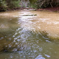 Swift Camp Creek Trail - 9